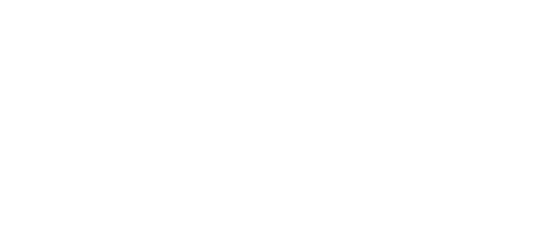 Party Flavors